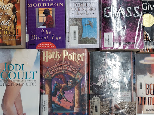 Compilation of banned books from the CCA High Schools library.